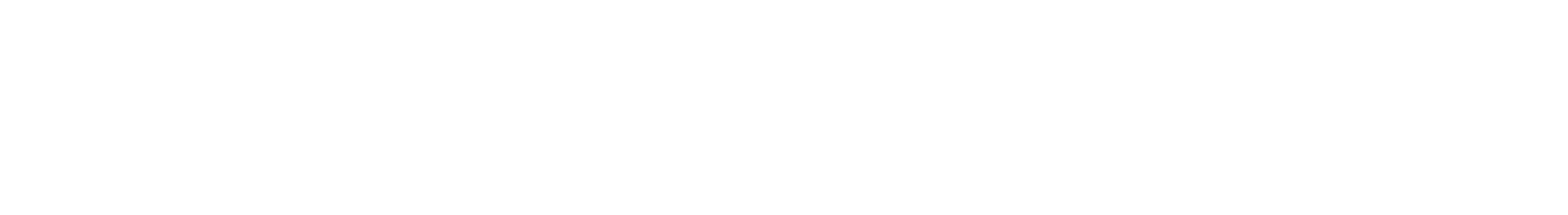 DREAME Stores Deutschland